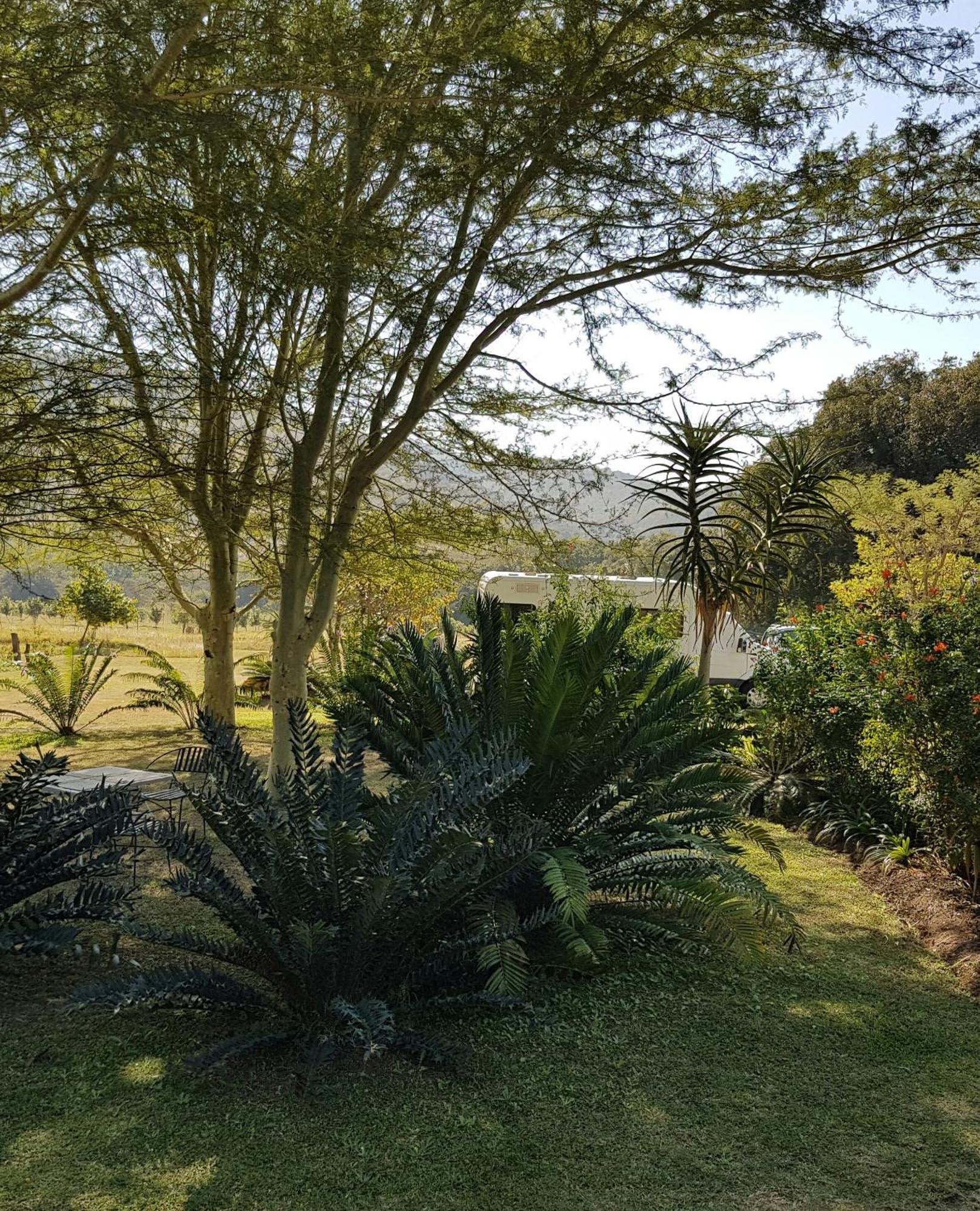 Kiaat Bungalows Hazyview Exterior photo